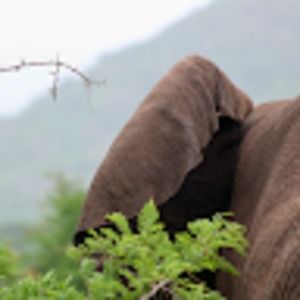 Meet your Posher, Kennedy